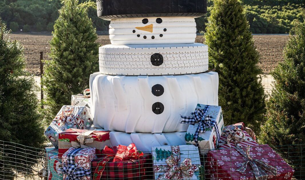 Christmas On The Farm