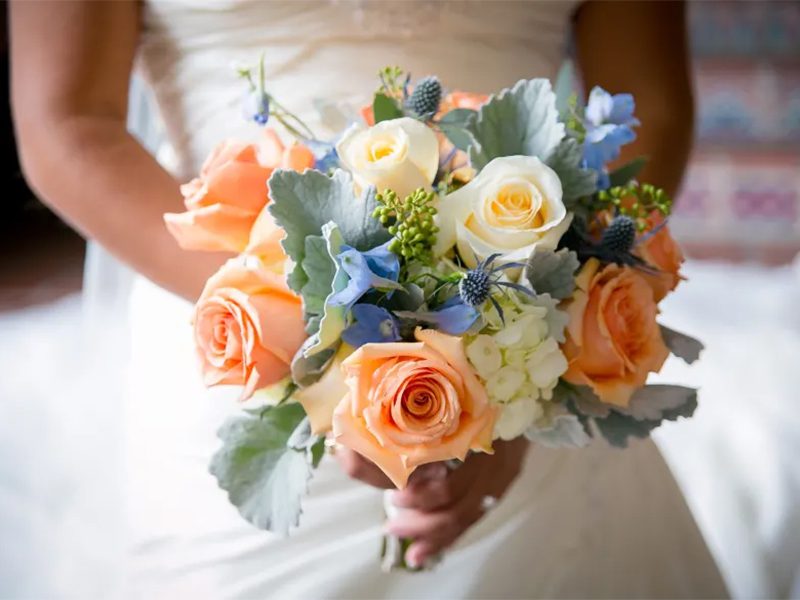 Michaelsflowers Feature